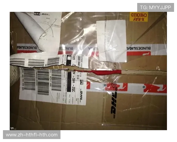 哪里可以买到德甲球队签名产品？购买渠道与建议